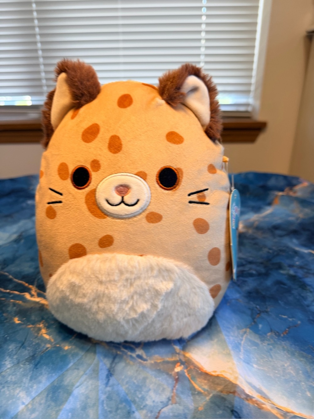 Squishmallows Raleigh NWT!